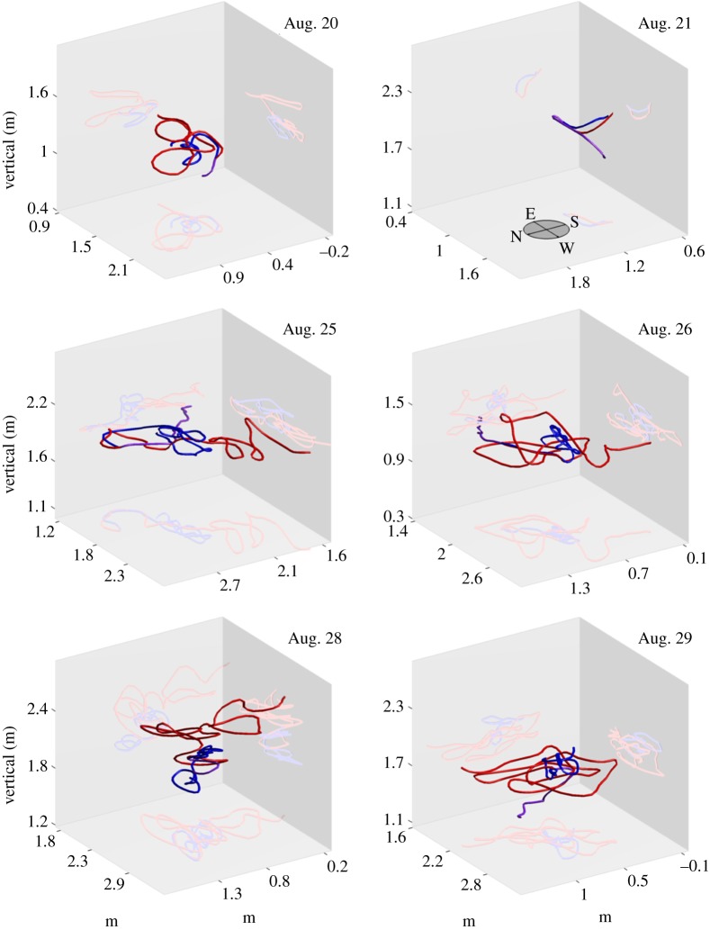 Figure 12.