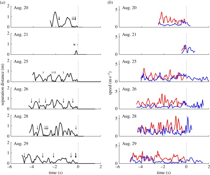 Figure 13.