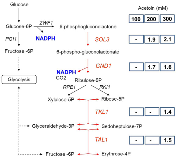 Figure 4 