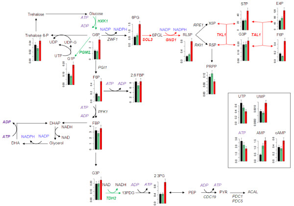 Figure 6 