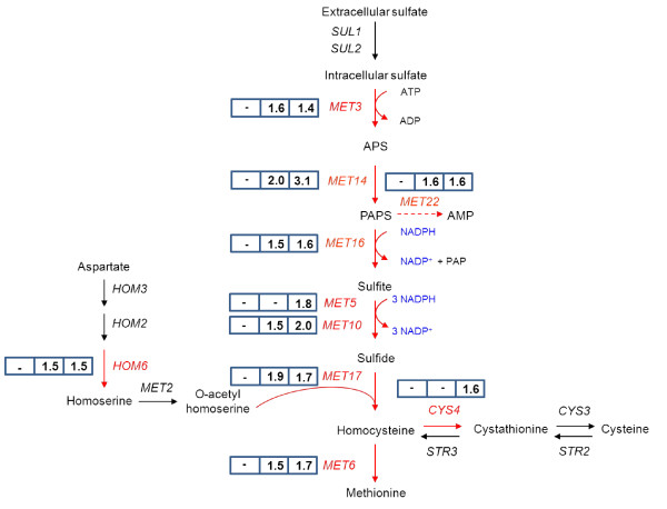 Figure 5 