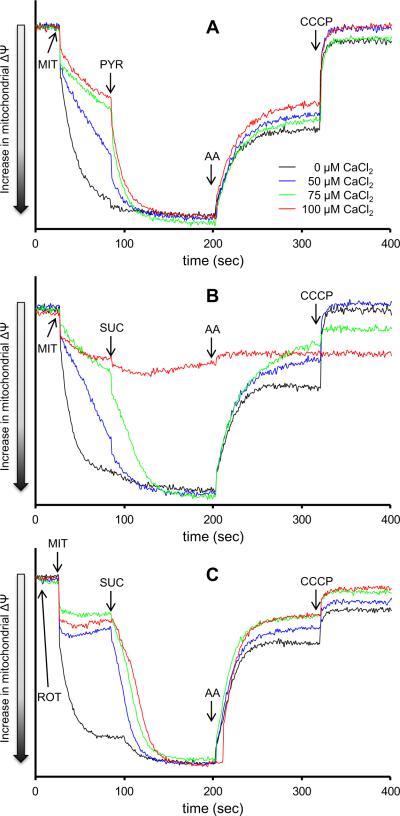 Fig. 3