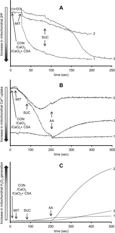 Fig. 5