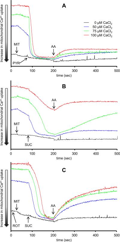 Fig. 2