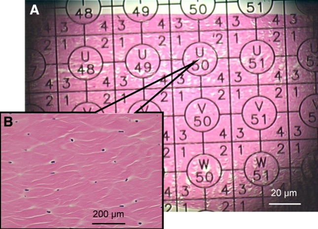 Fig. 1A–B