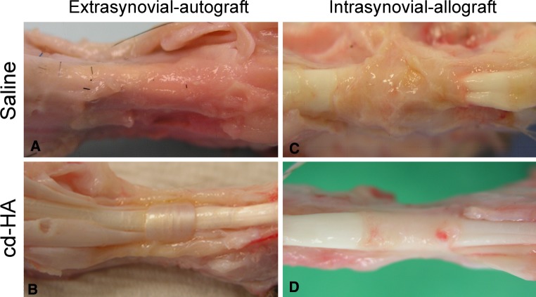 Fig. 3A–D