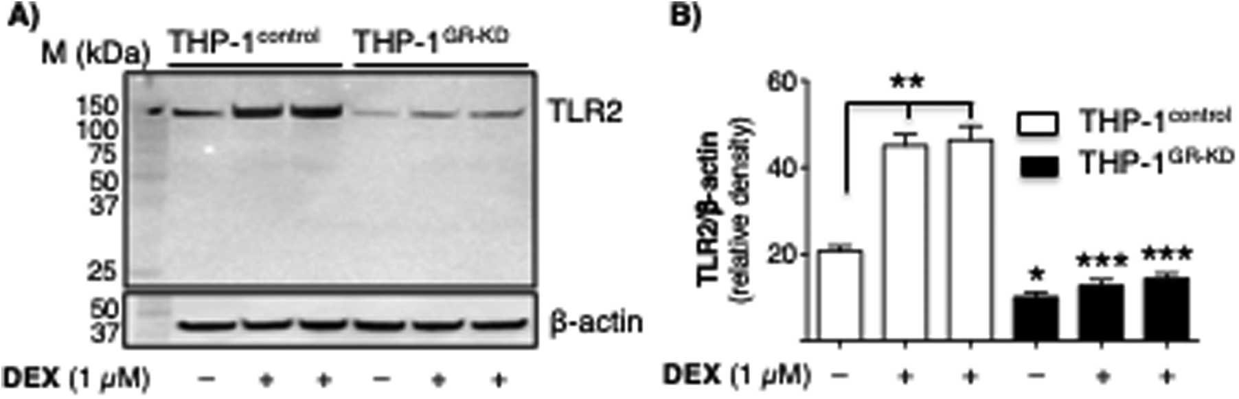 Figure 9.