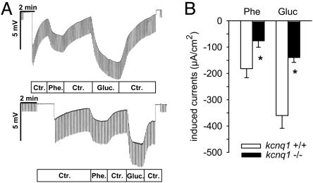 Fig. 6.