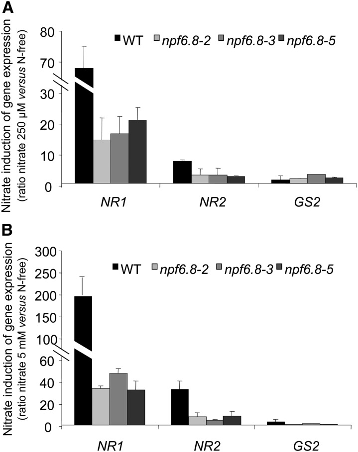 Figure 10.