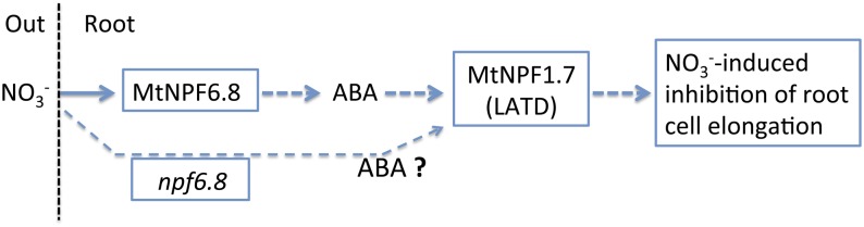 Figure 11.