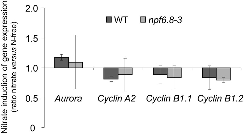 Figure 7.