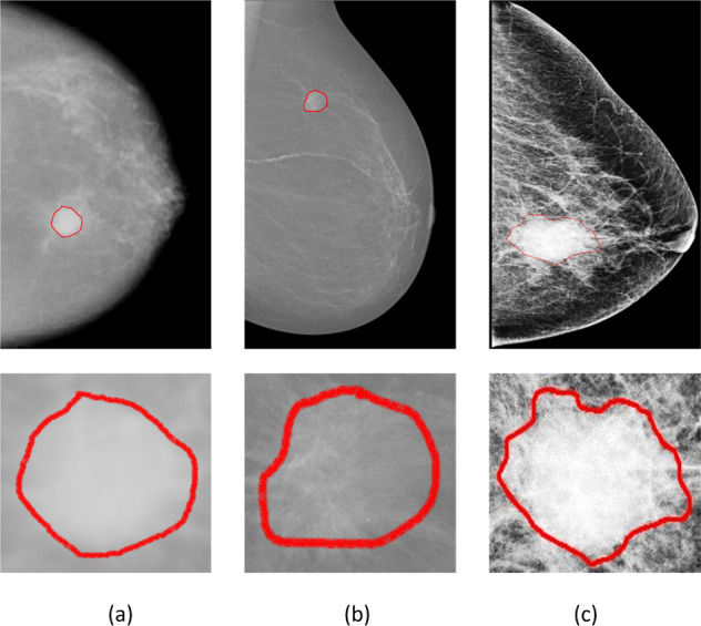 Fig. 10