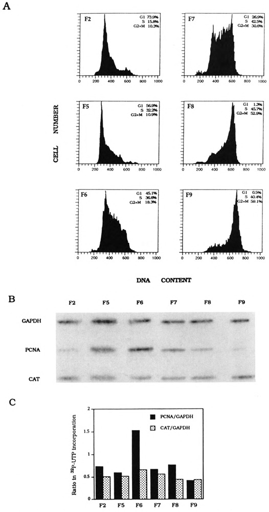 FIG. 6