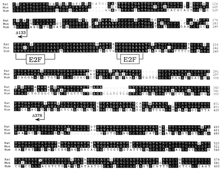 FIG. 7