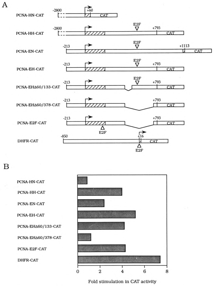 FIG. 8