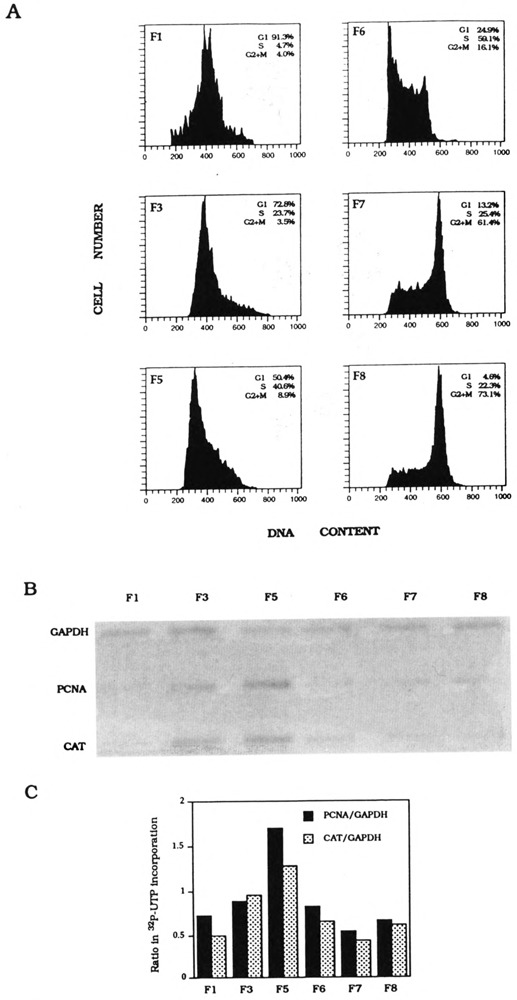 FIG. 5