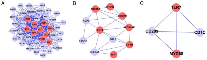 Figure 5.