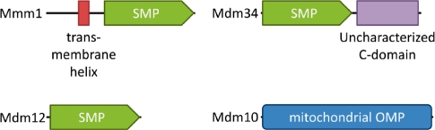 Fig. 1.