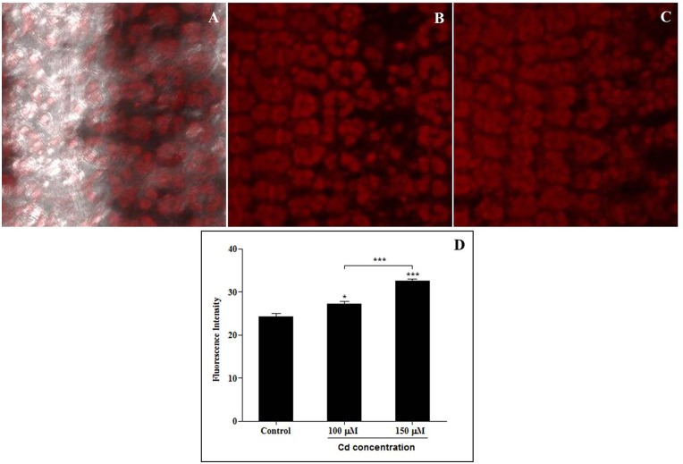 Fig 4