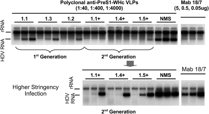 Figure 7.