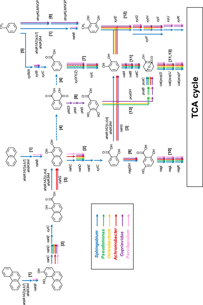 FIG 5