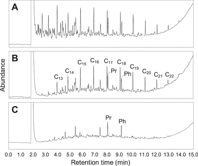 FIG 1