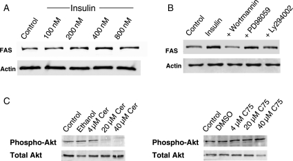 Fig. 3.