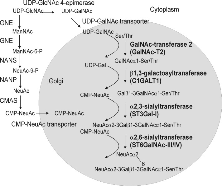 FIGURE 1.