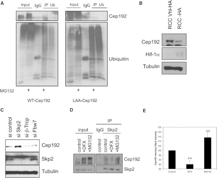 Figure 6