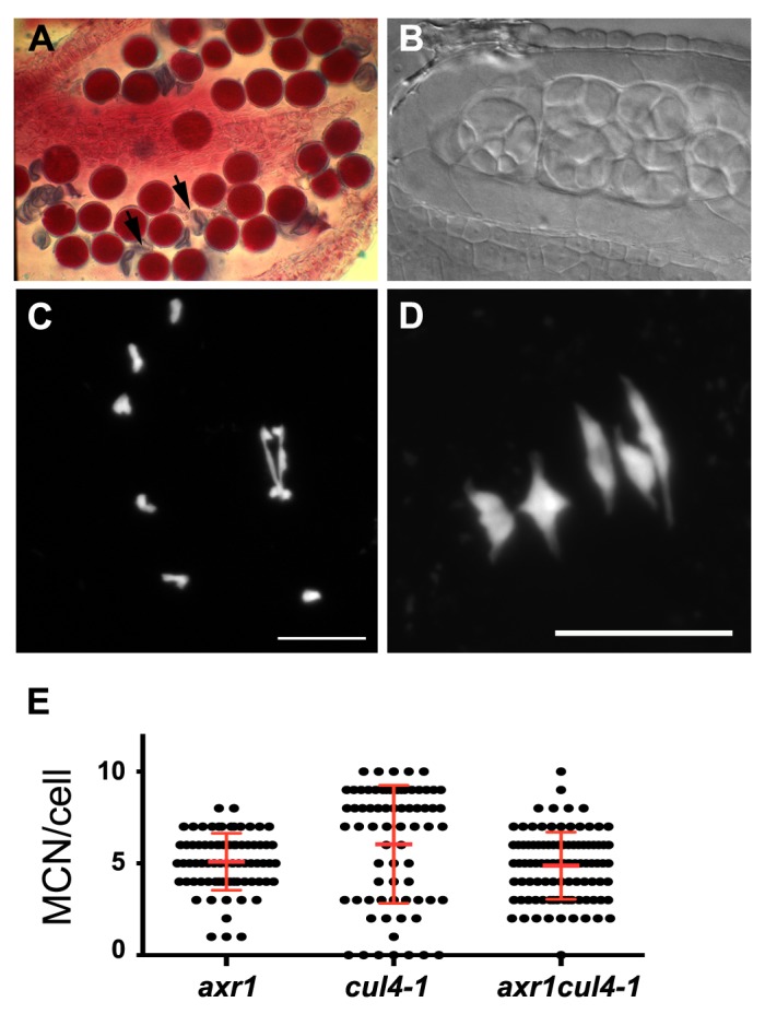 Figure 9