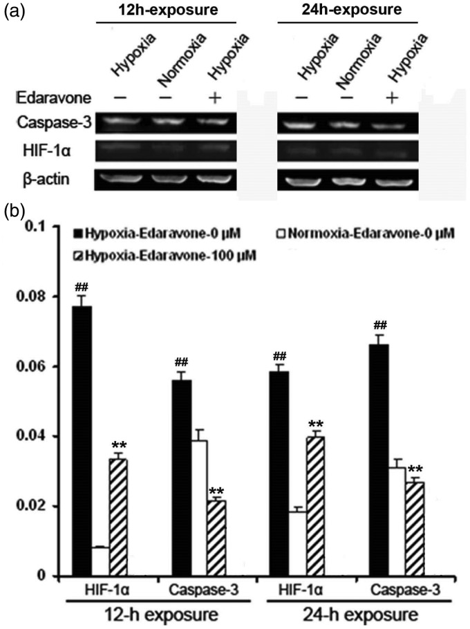 Figure 9.