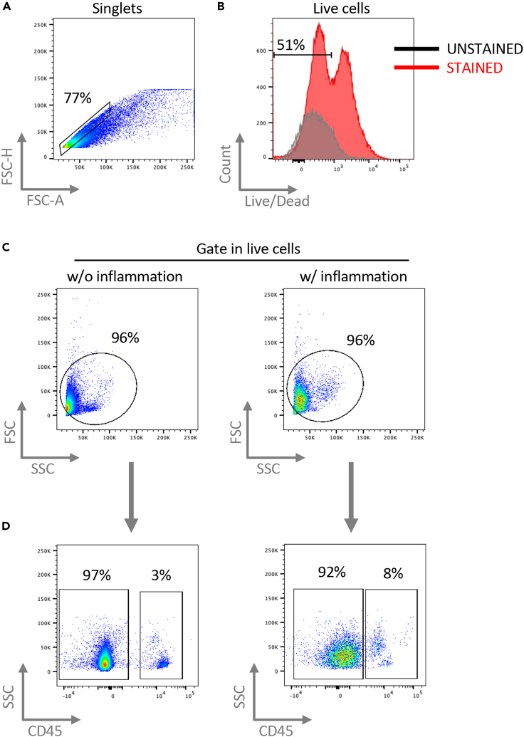 Figure 3