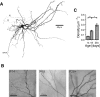 FIG. 7.
