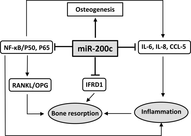 FIG. 7.