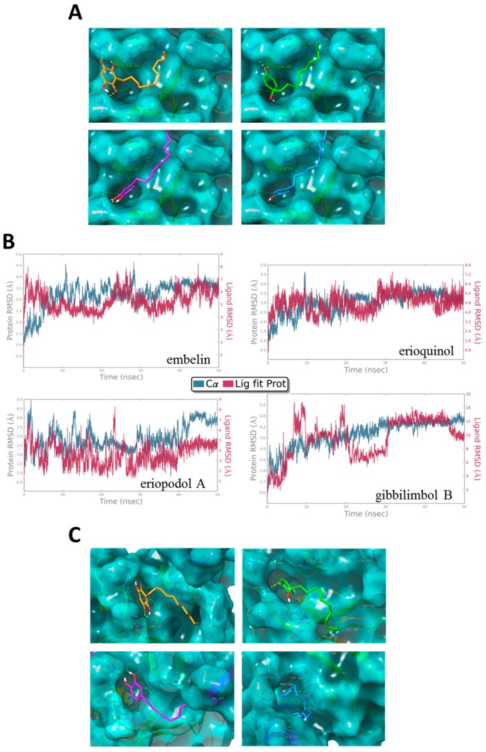 Figure 11