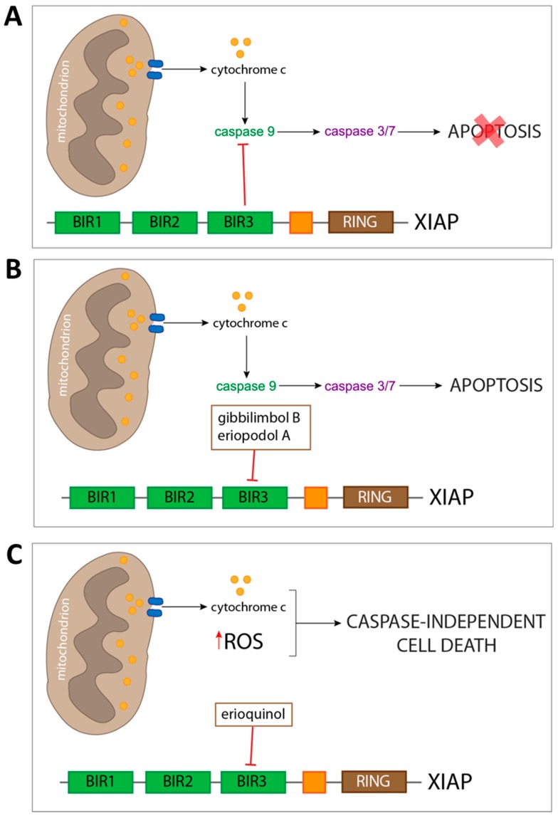 Figure 13