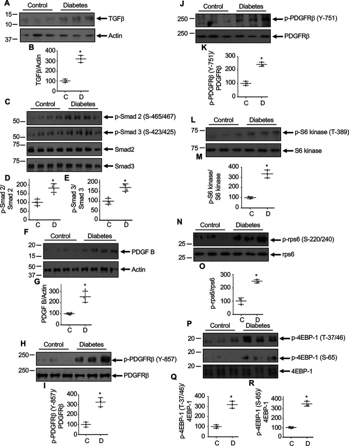 Figure 12.