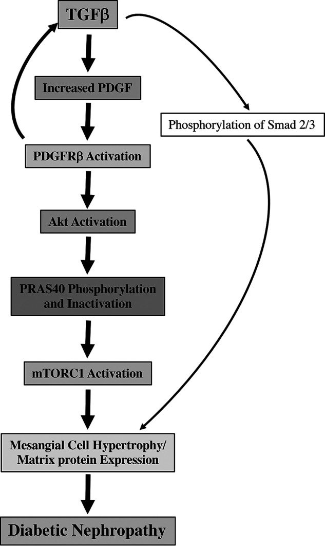 Figure 13.