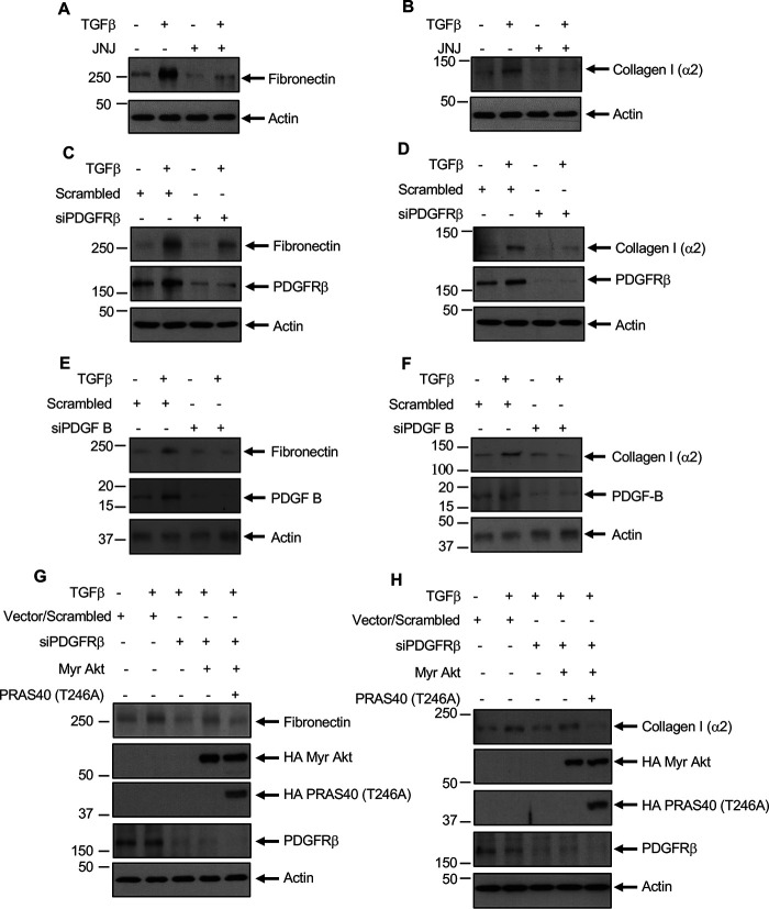 Figure 10.