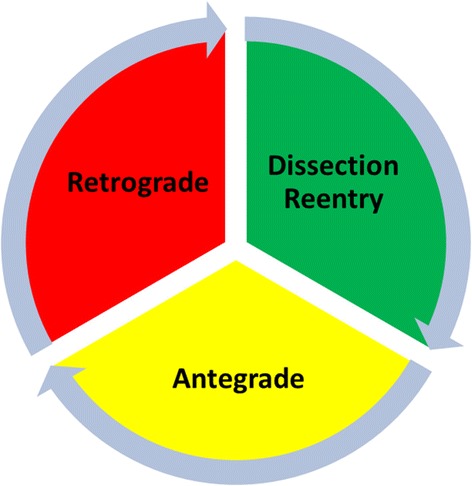 Fig. 1