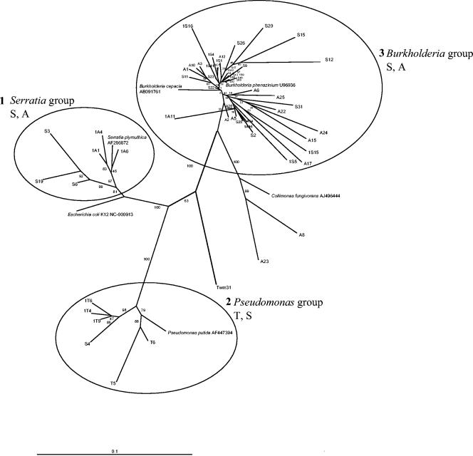 FIG. 4.