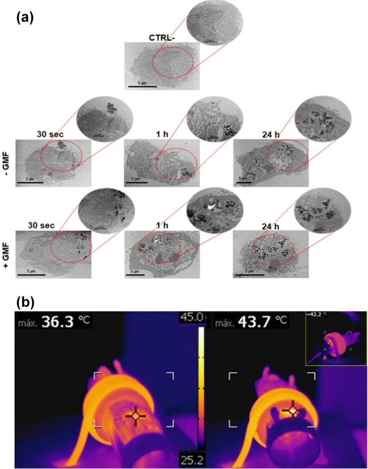 Figure 7