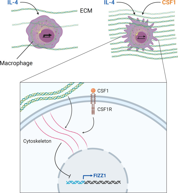 Fig. 7.