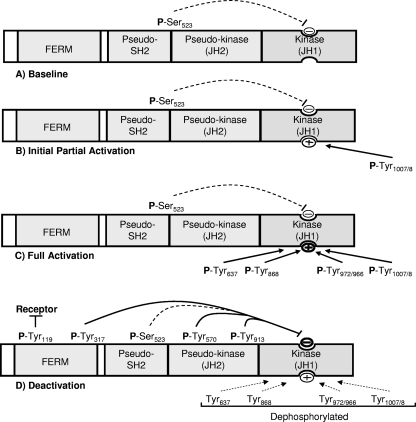 FIG. 9.