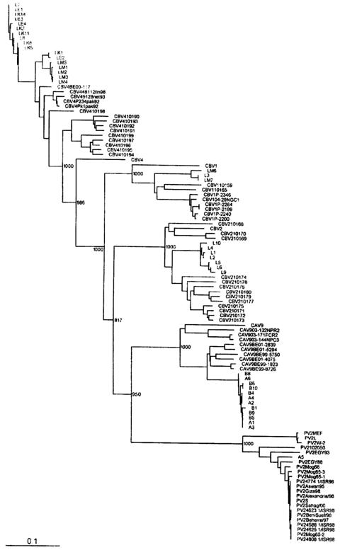 FIG. 2.