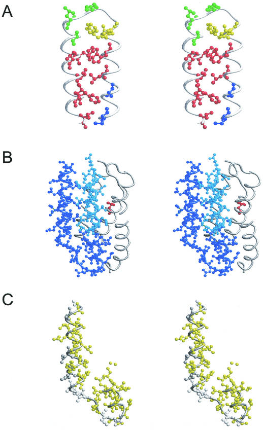 FIG.4.