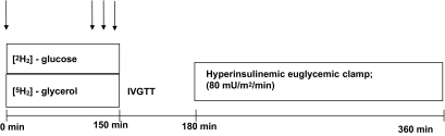 FIG. 1.