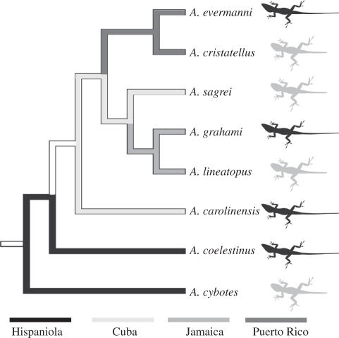 Figure 3.