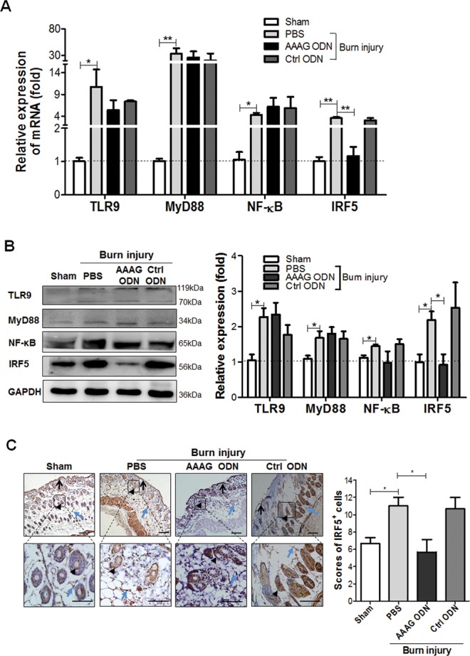 Figure 3.