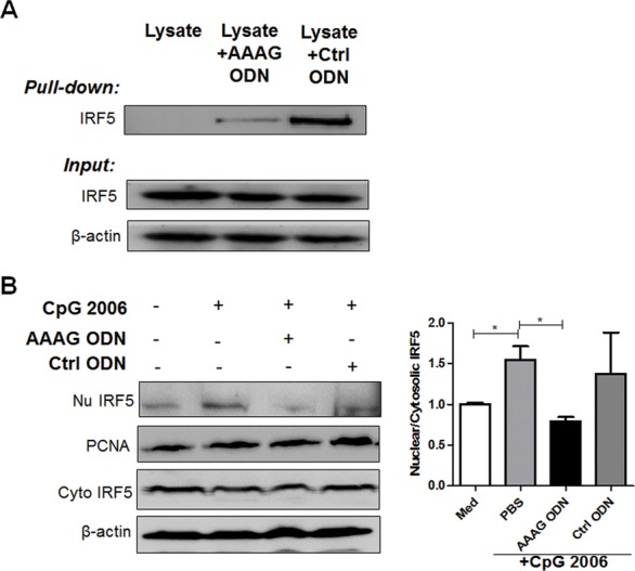 Figure 6.